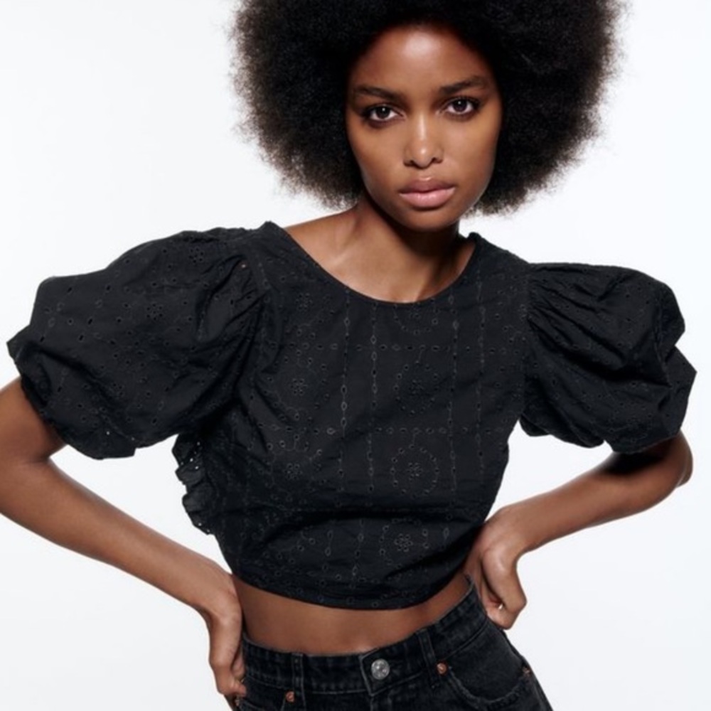 Zara NWT embroidered eyelet crop top
